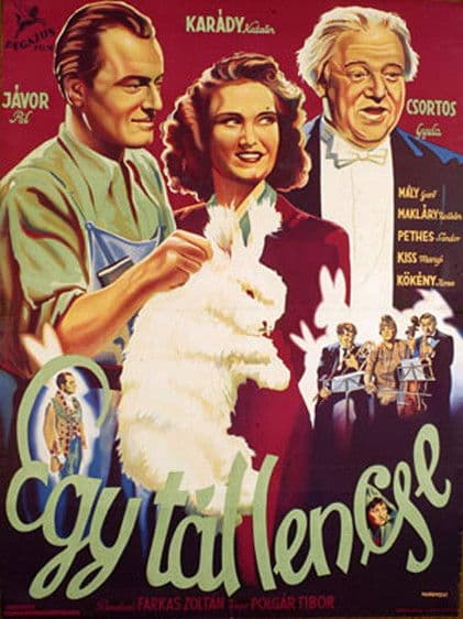 A Bowl of Lentils poster