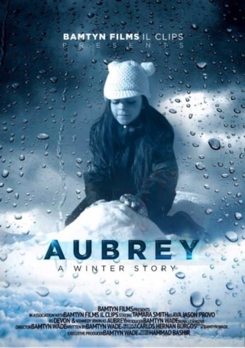 A Winter Story poster