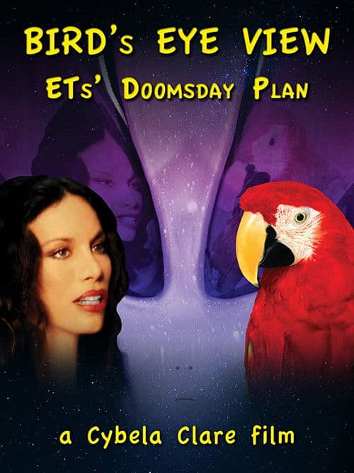 Bird's Eye View poster