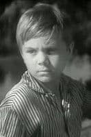 Roman Borovkov profile photo