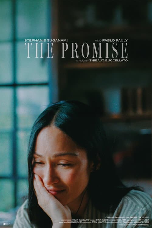 The Promise poster