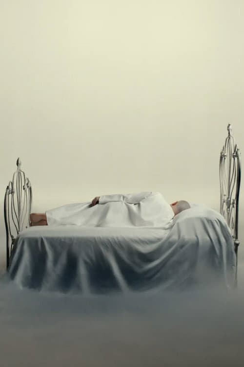 The Room poster