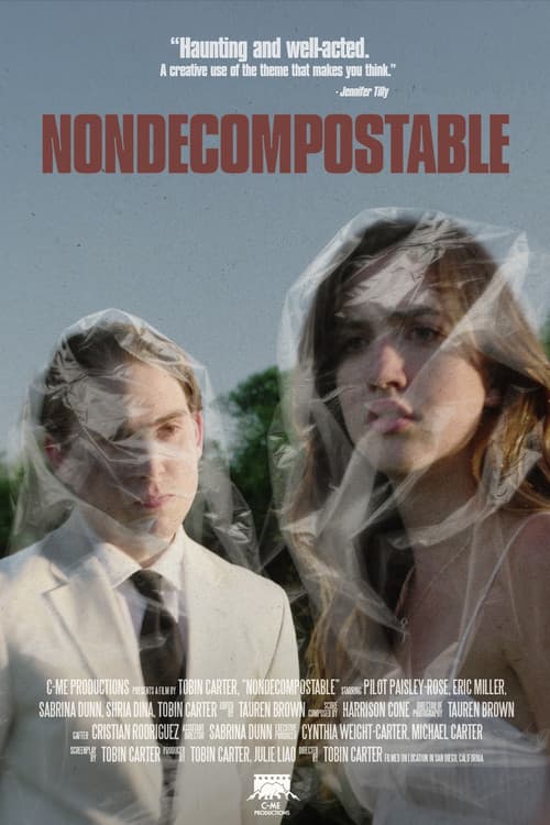 Nondecomposable poster