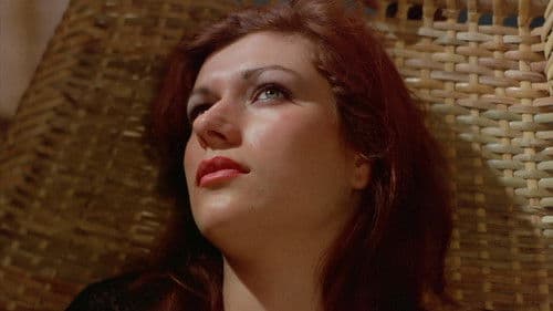 Around the World in 80 Beds poster