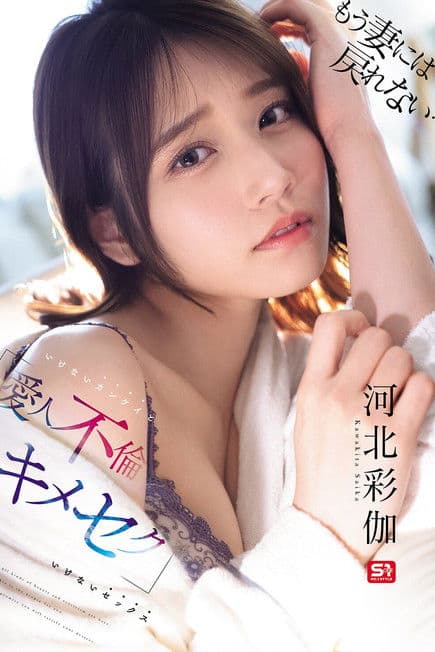 もう妻には戻れない… いけないカンケイ（爱人不伦）といけないセックス（キメセク） poster