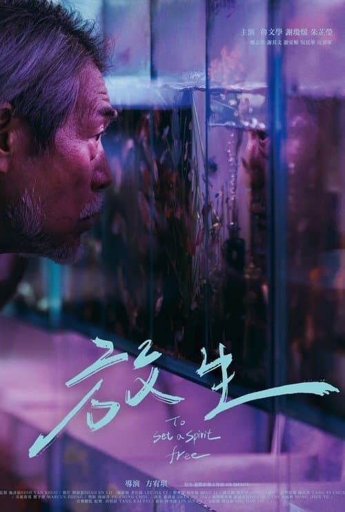 To Set a Spirit Free poster