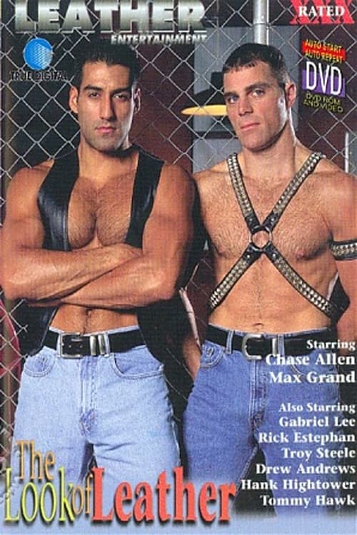 The Look of Leather poster