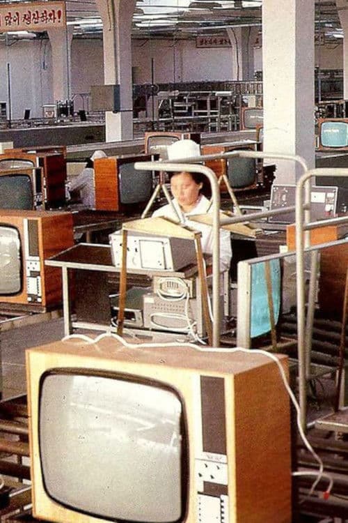 Nameless Grass poster