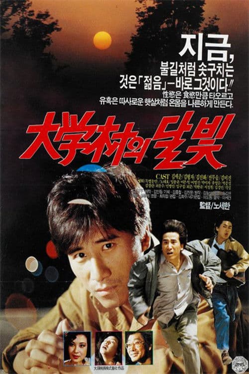 Moonlight in the University Town poster