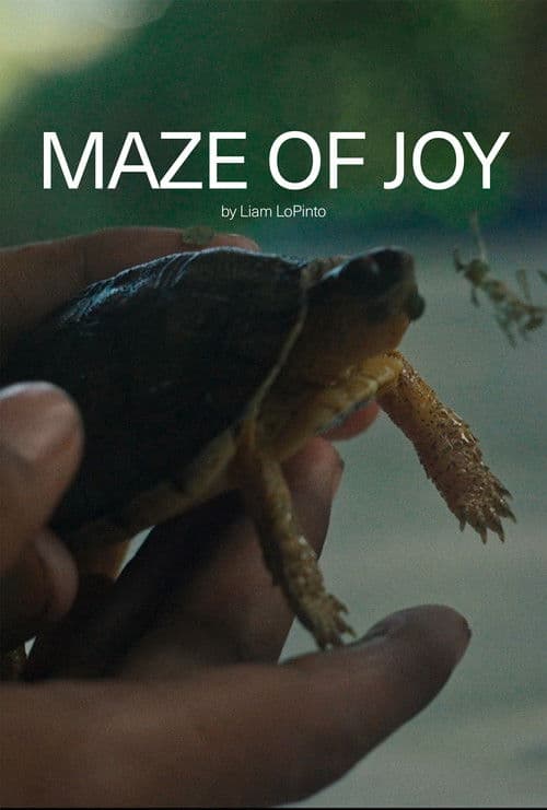 Maze of Joy poster