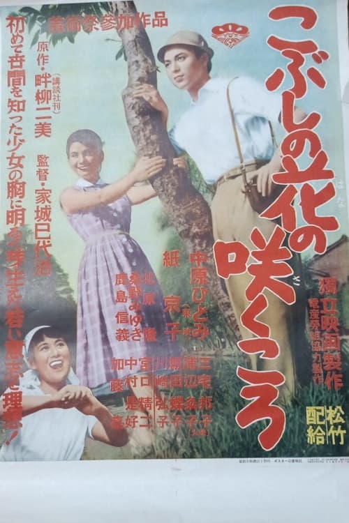 Kobushi no hana no sakukoro poster
