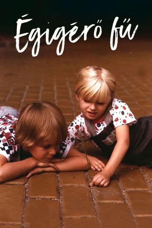 That Lovely Green Grass poster