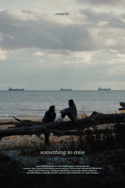 Something to Miss poster