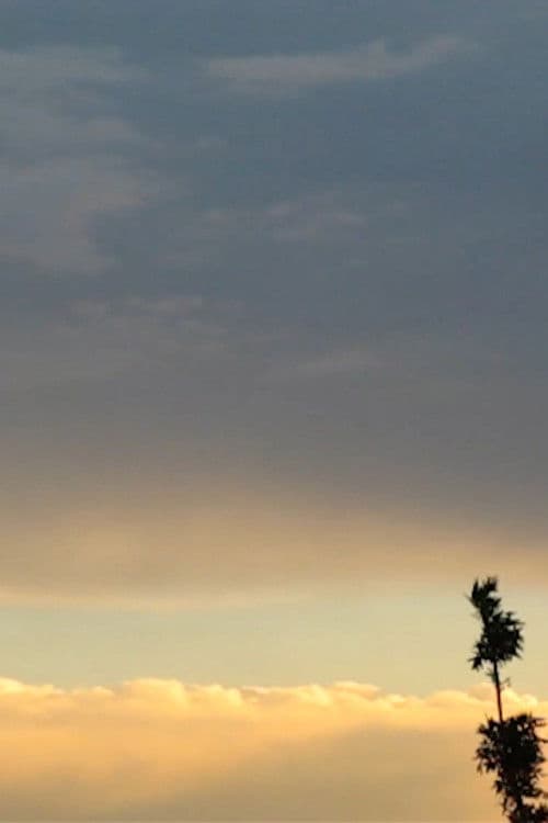 Marlene. El diablo sobre las colinas poster