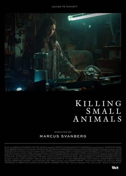 Killing Small Animals poster