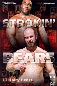 Strokin' Bears poster
