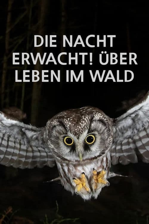 Die Nacht erwacht! Über Leben im Wald poster