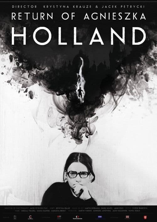 The Return of Agnieszka H. poster