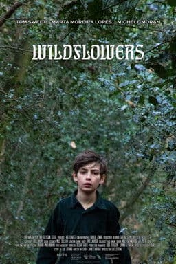Wildflowers poster