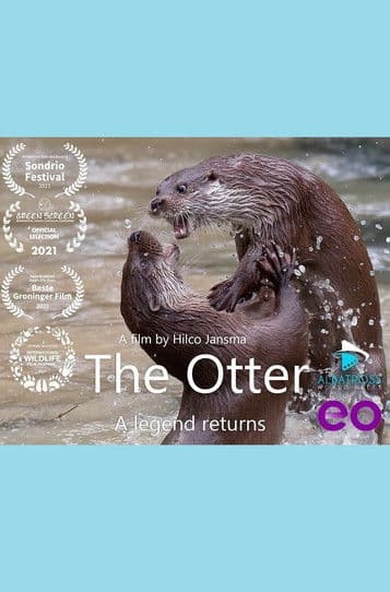 The Otter: A Legend Returns poster