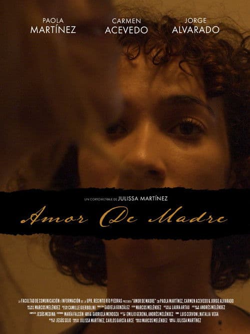 A Mother's Love poster