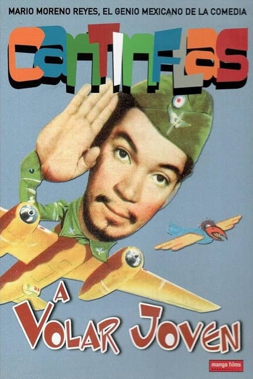 Fly Away, Young Man! poster