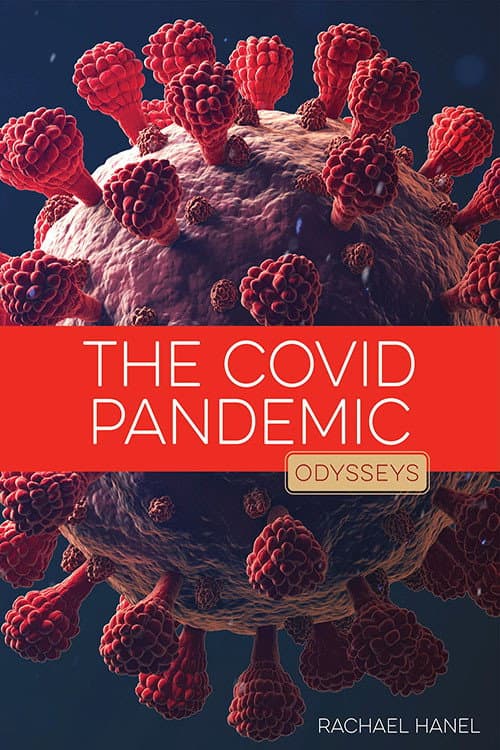 The Coronavirus Epidemic poster