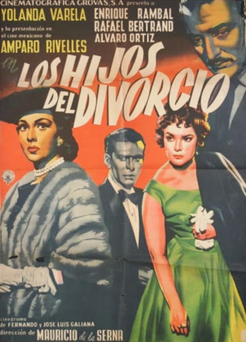 Los hijos del divorcio poster