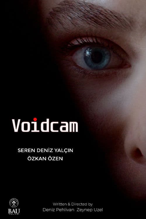 Voidcam poster