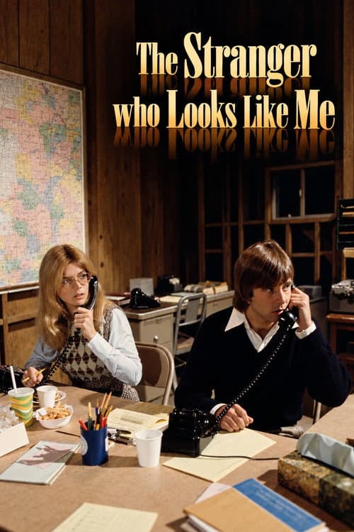 The Stranger Who Looks Like Me poster