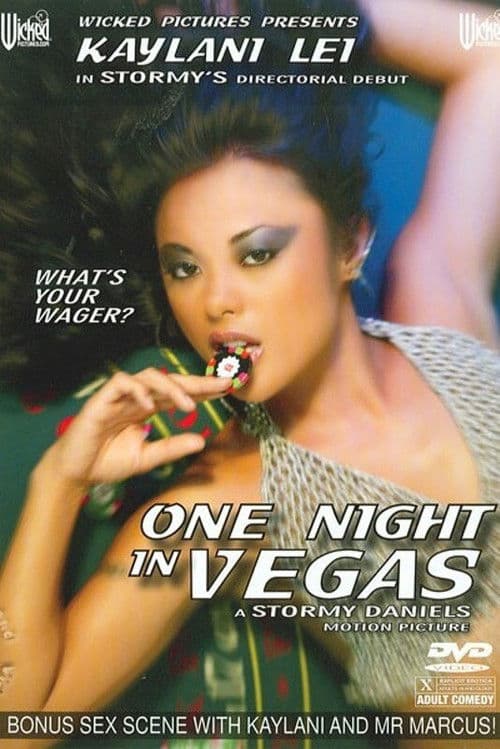 One Night in Vegas poster