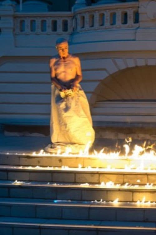 Desnudo bajando la escalera poster