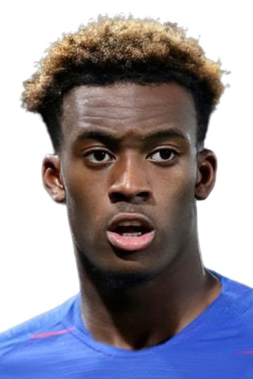 Callum Hudson-Odoi profile photo