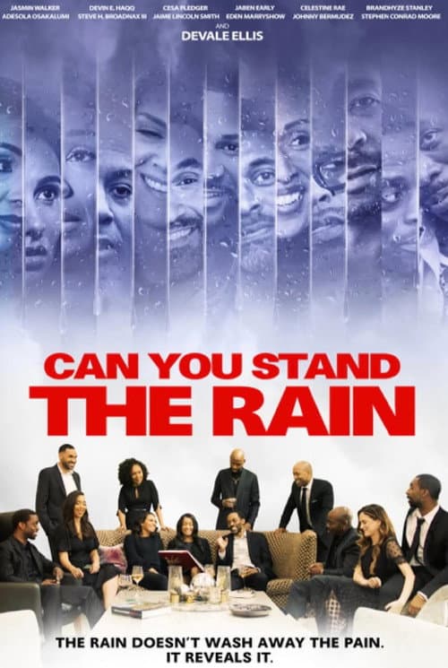 Can You Stand The Rain poster