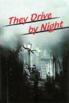 They Drive by Night poster