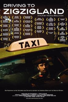 Driving to Zigzigland poster