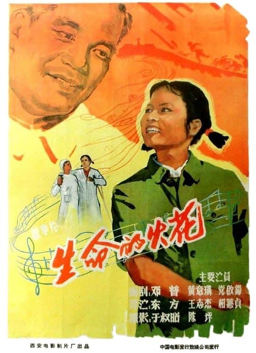生命的火花 poster