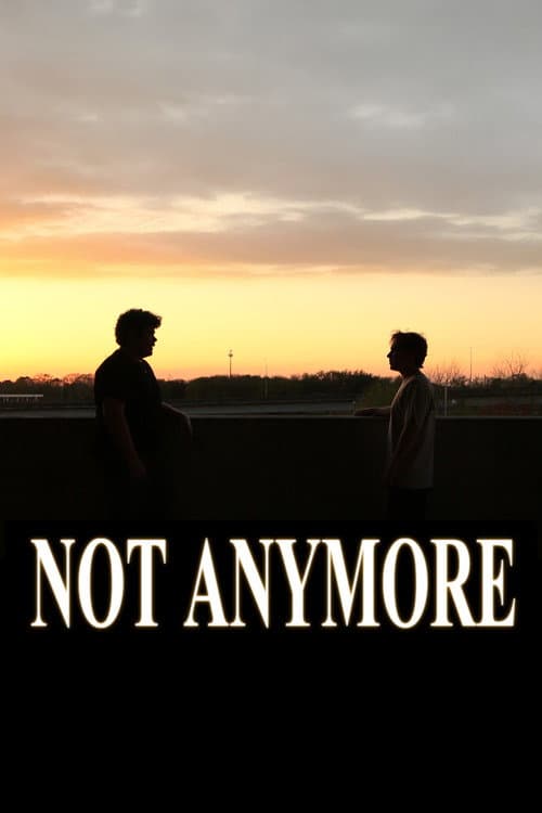 Not Anymore poster
