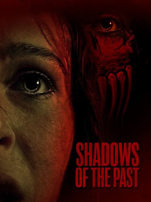 Shadows Of The Past poster