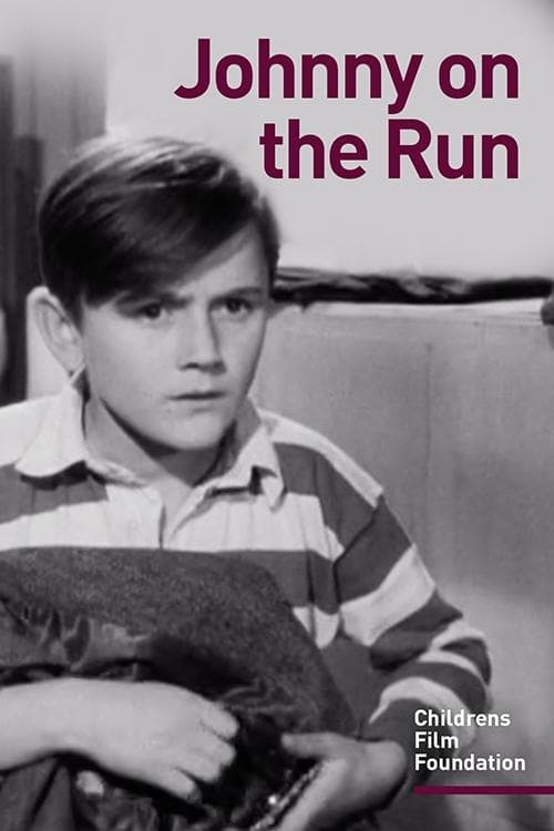 Johnny on the Run poster