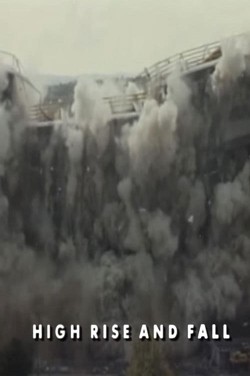 High Rise and Fall poster