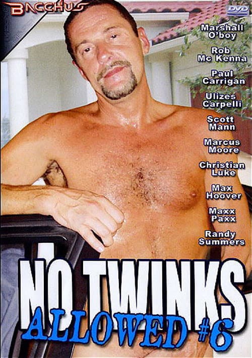No Twinks Allowed 6 poster
