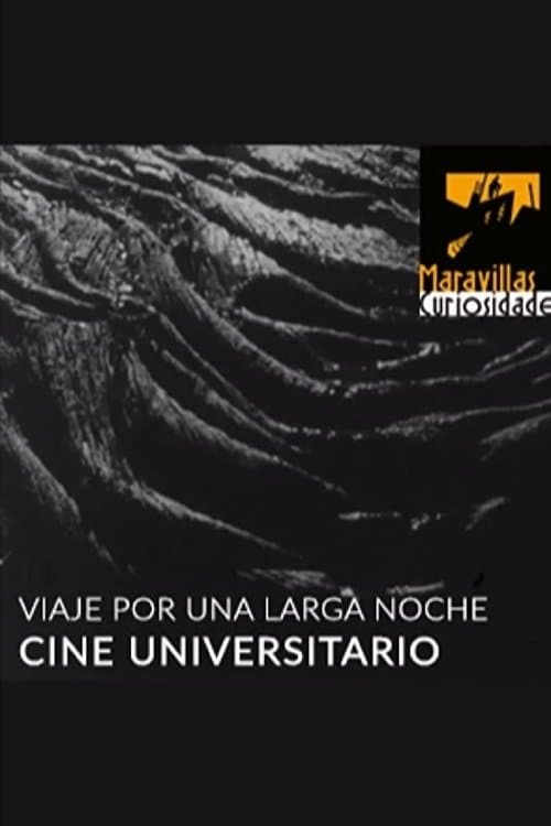 Viaje por una larga noche poster