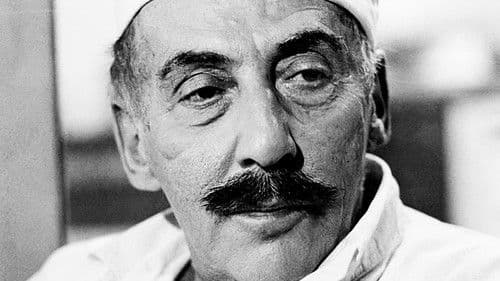 Cesta na Borneo poster