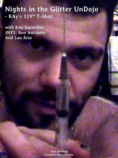 Nights in the Glitter UnDojo - KAy's 119th T-shot poster