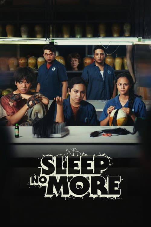 Sleep No More poster