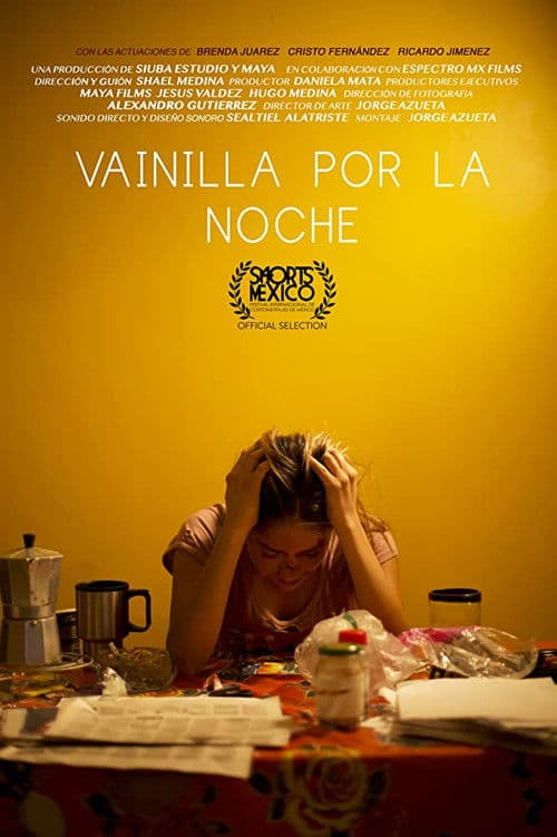 Vainilla por la noche poster