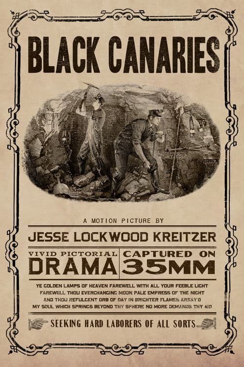 Black Canaries poster
