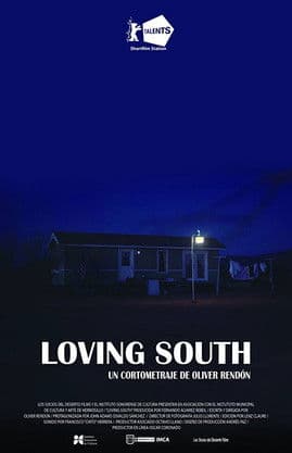Loving South poster