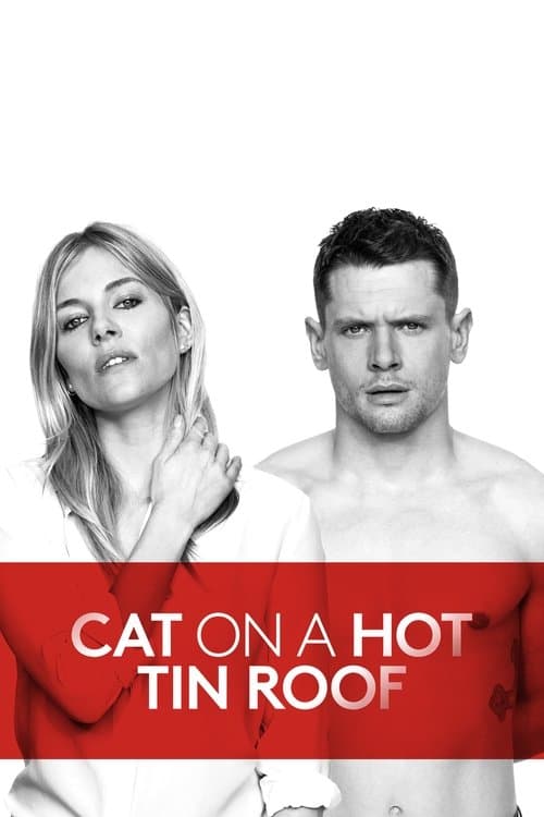National Theatre Live: Cat on a Hot Tin Roof poster